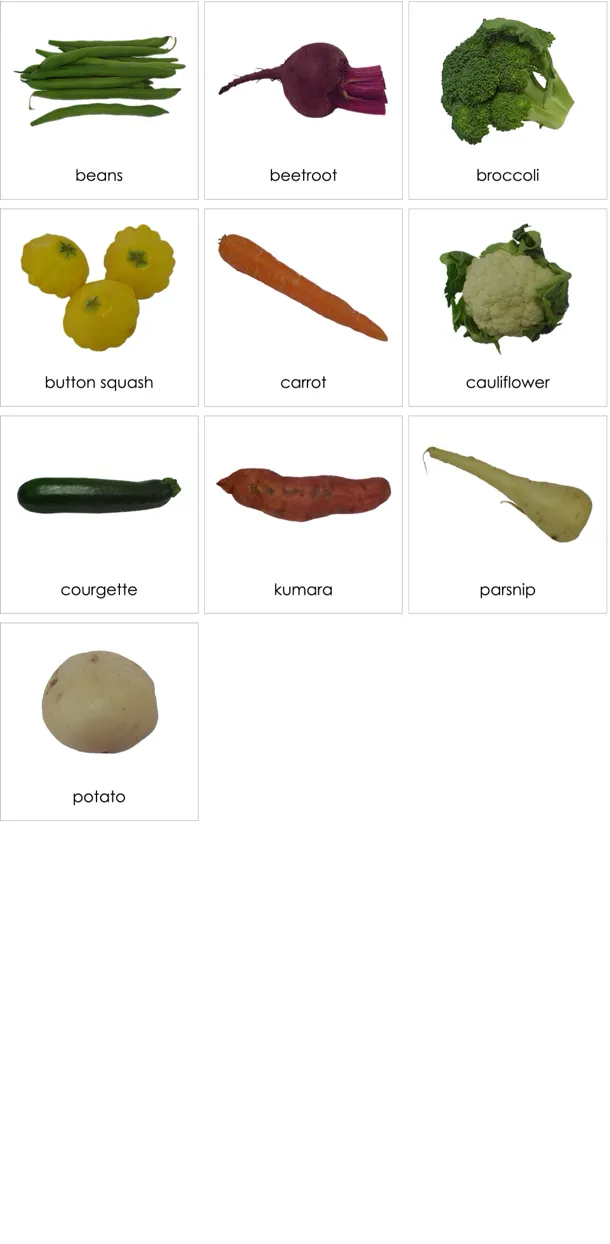 cc020-en-p.webp