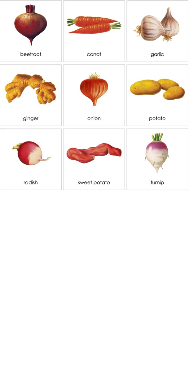 cc027-en-p.webp
