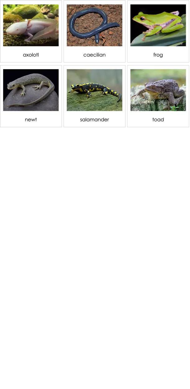 cc067-en-p.webp