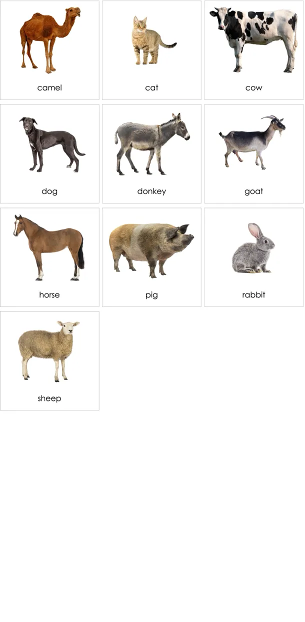 cc145-en-p.webp