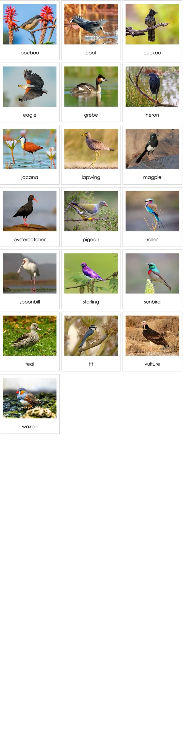 cc257-en-p.webp