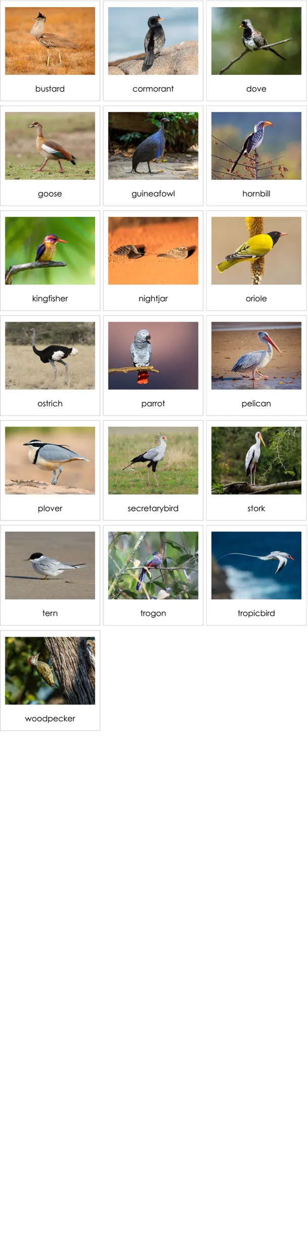cc258-en-p.webp