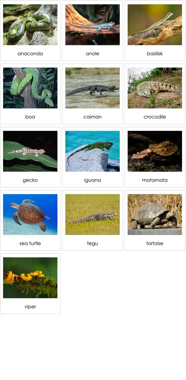 cc261-en-p.webp