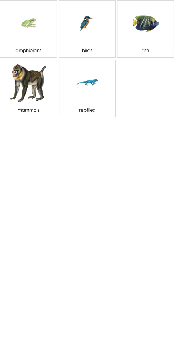 cc299-en-p.webp