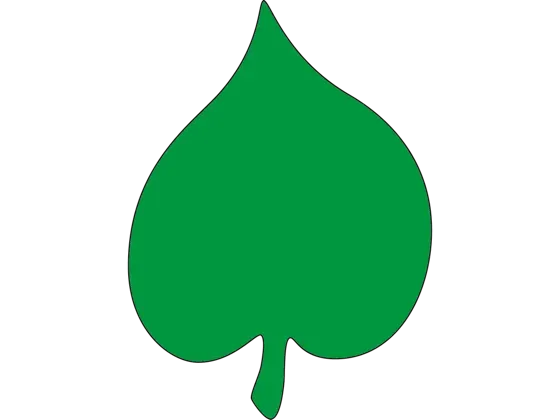 Image of Leaf Shapes