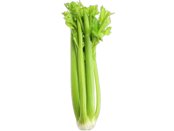 Image of Vegetables Stem