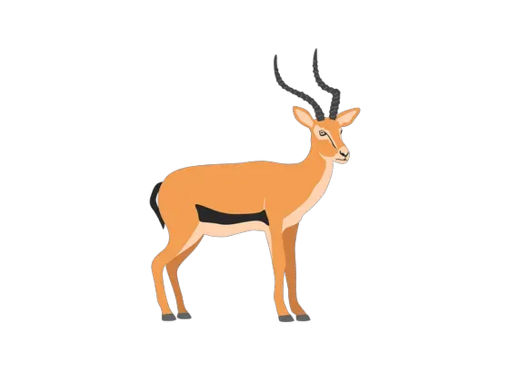 Image of Mammals Antelopes Africa